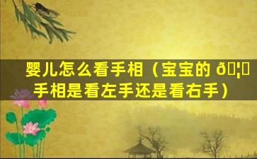 婴儿怎么看手相（宝宝的 🦟 手相是看左手还是看右手）